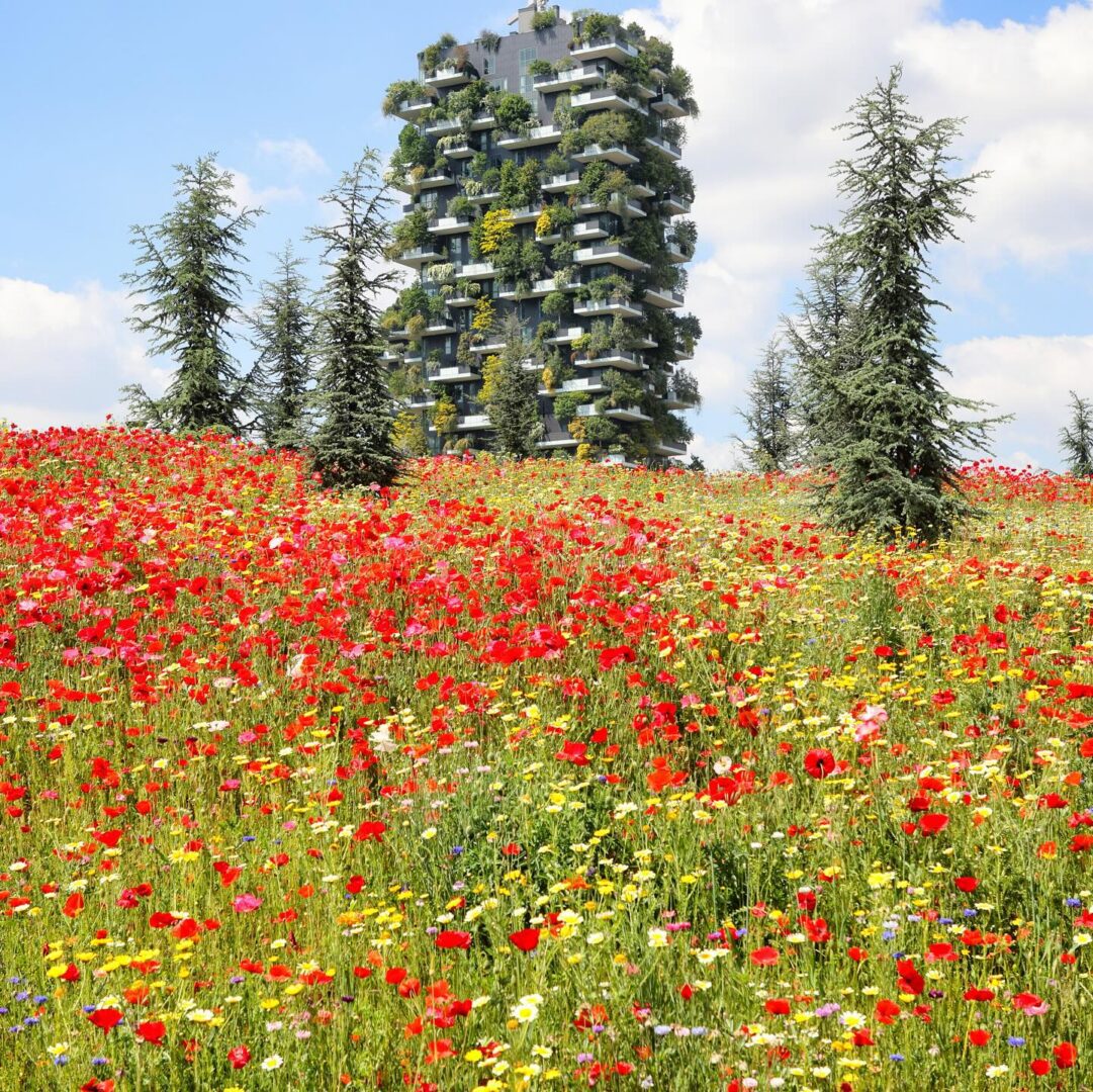 Read more about the article Sensing the invisible, breathing through the trees