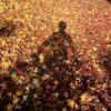 In una passeggiata la vita diventa possibile